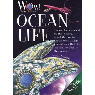 DKTODAY หนังสือ WOW! WORLD OF WONDER: OCEAN LIFE