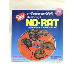 STRR กาวดักหนู No-Rat สินค้ายกโหล (12 กล่อง)