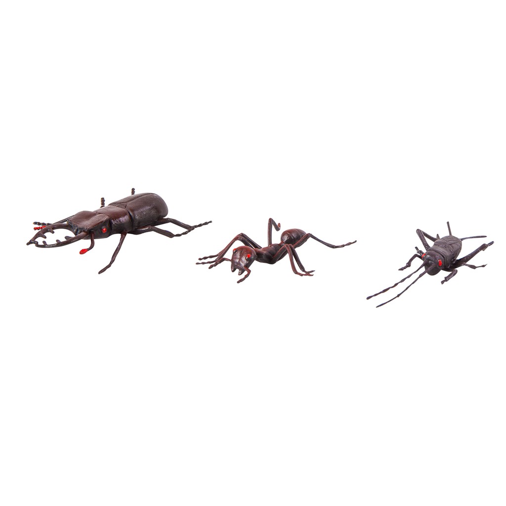 0207-แมลงจำลอง-ชุดเล็ก-ของเล่นเสริมพัฒนาการ-ของเล่นเด็กอนุบาล-สื่อการสอน