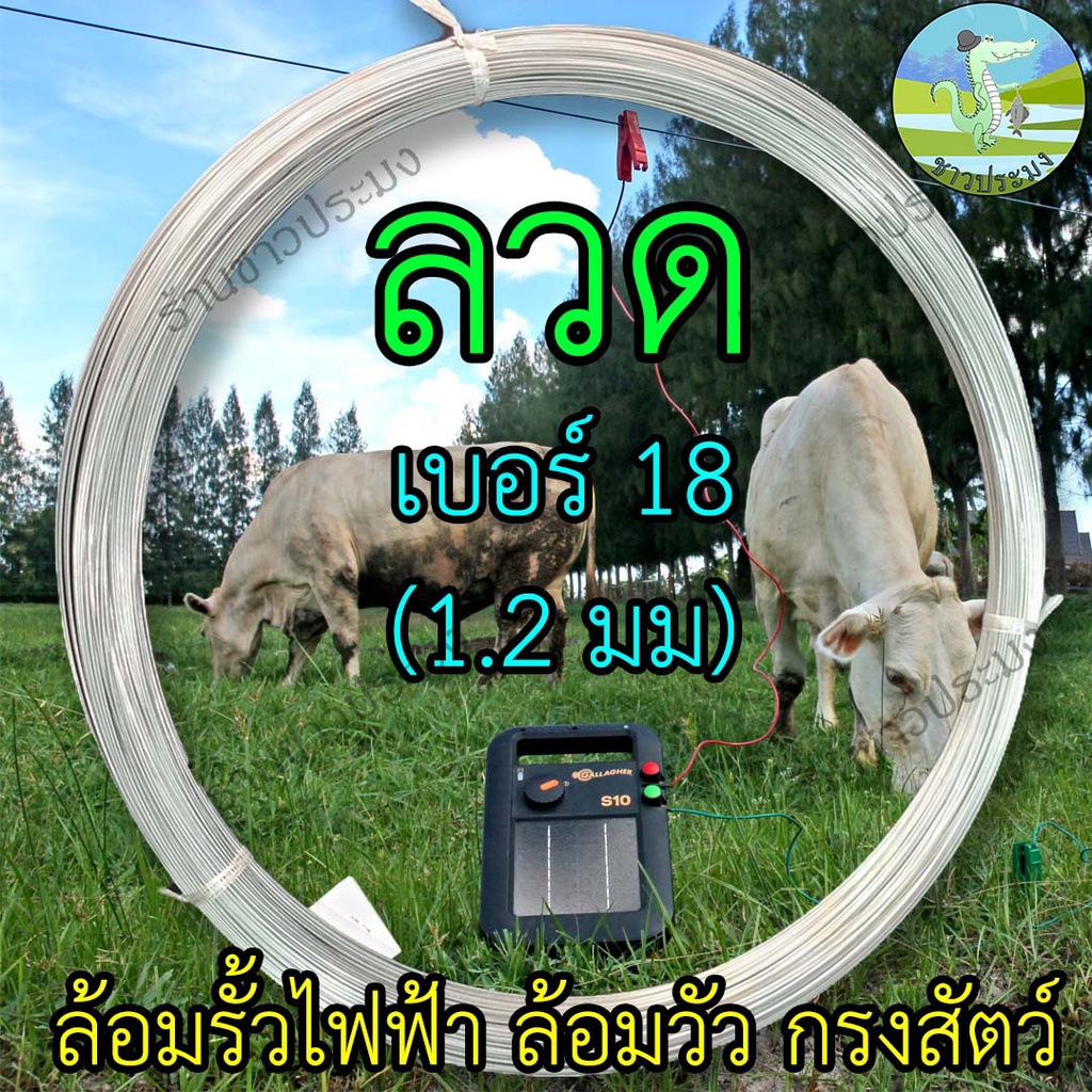 ลวด-เบอร์-18-ขนาด-1-2-มิล-ลวดล้อมวัว-ลวดล้อมรั้ว-ลวดขาว-ลวดสังกะสี-ลวดชุป-ลวดกัลวาไนซ์-ลวดขด-ลวดสังกะสี-ลวดชุบ