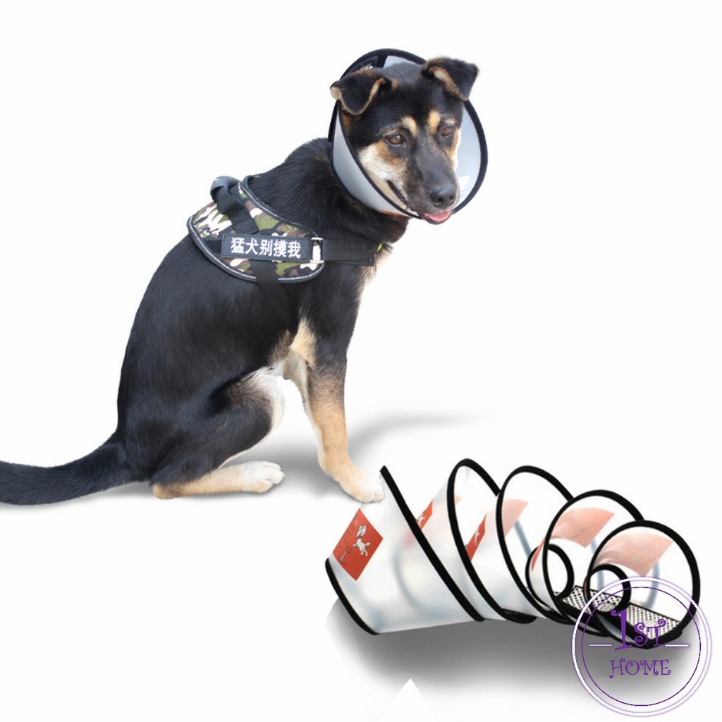 ปลอกคอ-กันเลียบาดแผล-คอลล่า-น้องหมา-น้องแมว-pet-collar