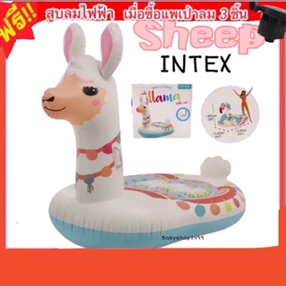 สินค้า Intex แพยางเป่าลม lama ขนาดใหญ่ ✅เก็บปลายทางได้