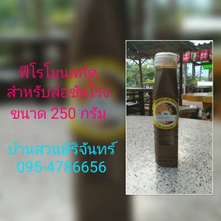 ฟีโรโมนสำหรับล่อชันโรง