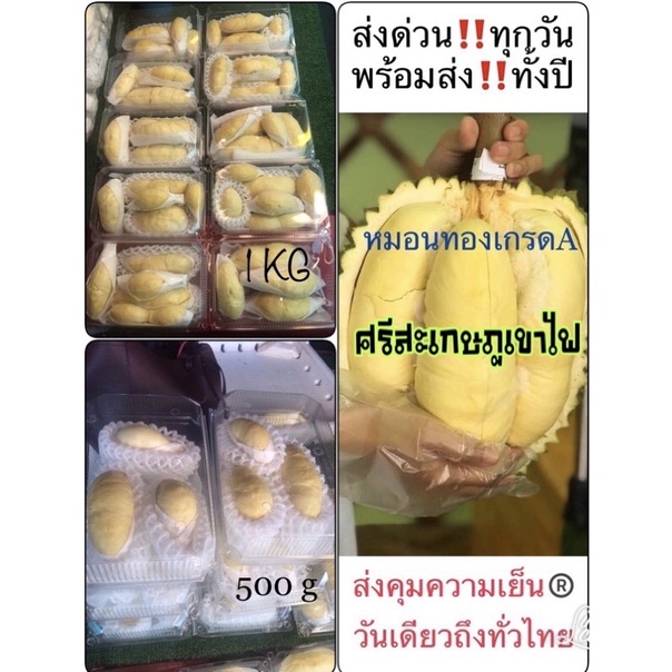 รูปภาพของพร้อมส่ง ทุเรียนหมอนทองเกรดA/ศรีสะเกษภูเขาไฟ แกะเนื้อล้วน ️ส่งด่วน ทั่วไทย&คุมความเย็นทุกออเดอร์ ️ลองเช็คราคา