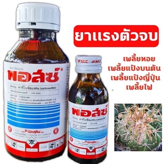 ภาพหน้าปกสินค้าขายส่ง 48฿ สั่งขั้นต่ำ3ขวด พอสซ์ ป้องกันเพลี้ยและแมลงต่างๆ สารสำคัญ คาร์โบซัลแฟน20% FMC 100 ml. สารกำจัดแมลงศัตรูพืช ที่เกี่ยวข้อง