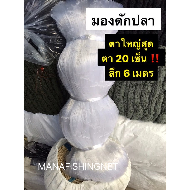 มองปลาสวาย-ข่ายดักปลาใหญ่สุดตา-20-เซ็น-ลึก-6-เมตร-ป้าย-180-เมตร