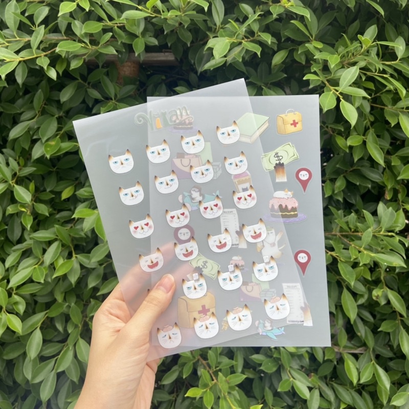 vilan-sticker-kathi-สติกเกอร์ลายแมว-พี่กะทิ-แมววิเชียรมาส-size-a5-a6