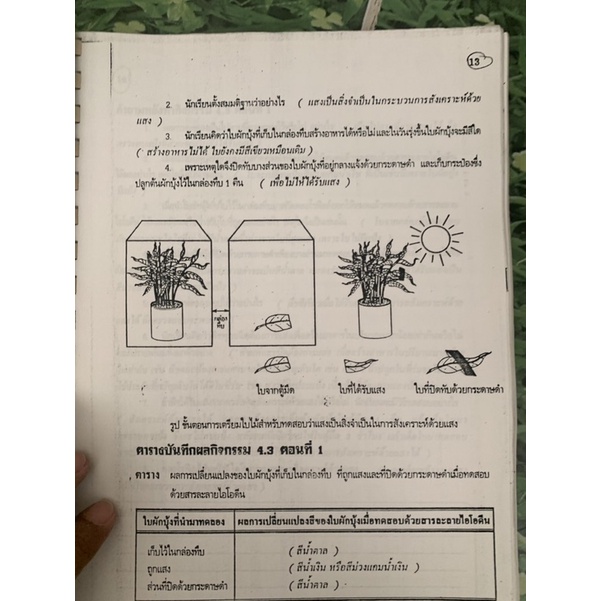 เอกสารประกอบการเรียน-พืช-ว-102-มือ-2