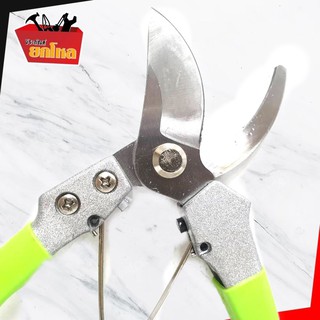 FODE4289 กรรไกรตัดกิ่งไม้ กรรไกรตัดกิ่ง กรรไกรตัดแต่งกิ่ง Bypass Pruner Pruning Sheer Forged Pruner DS-16076