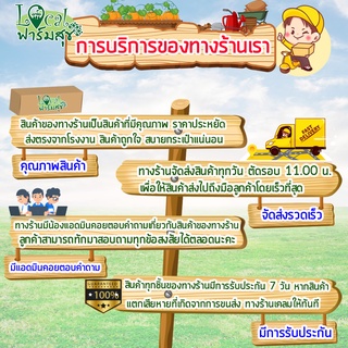 ภาพขนาดย่อของภาพหน้าปกสินค้าปุ๋ยแคคตัส ปุ๋ยไม้อวบน้ำครบสูตร ปุ๋ยบำรุง เร่งราก กันรา กันแมลง (ออสโมโค้ท +แคปแทน +สตาร์เกิลจี +ฮอร์โมนB1) จากร้าน theboy1999 บน Shopee ภาพที่ 3