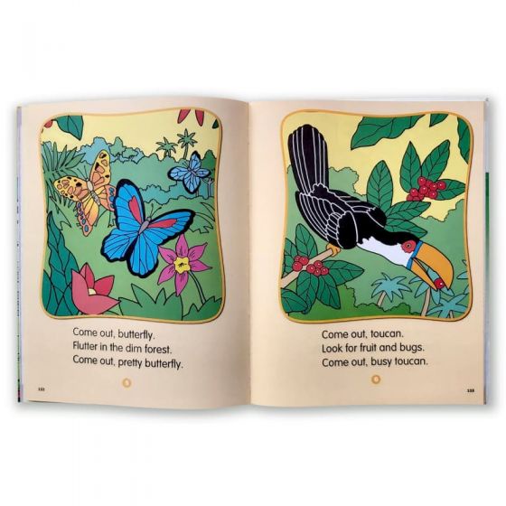 dktoday-หนังสือ-viva-lets-know-all-about-rainforest-viva-books