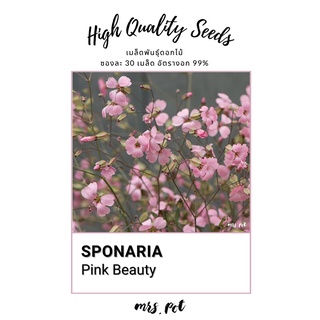 เมล็ดนำเข้า Saponaria Pink Beauty