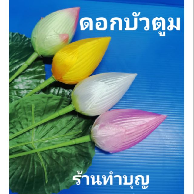 ดอกบัวตูม-ดอกบัว-ดอกบัวหลวง-ดอกไม้ประดิษฐ์-ดอกบัวขาว-ดอกบัวเหลือง-ชมพู-เขียว-ดอกบัวแดง-ดอกบัวไหว้พระ-ดอกบัวก้านยาว