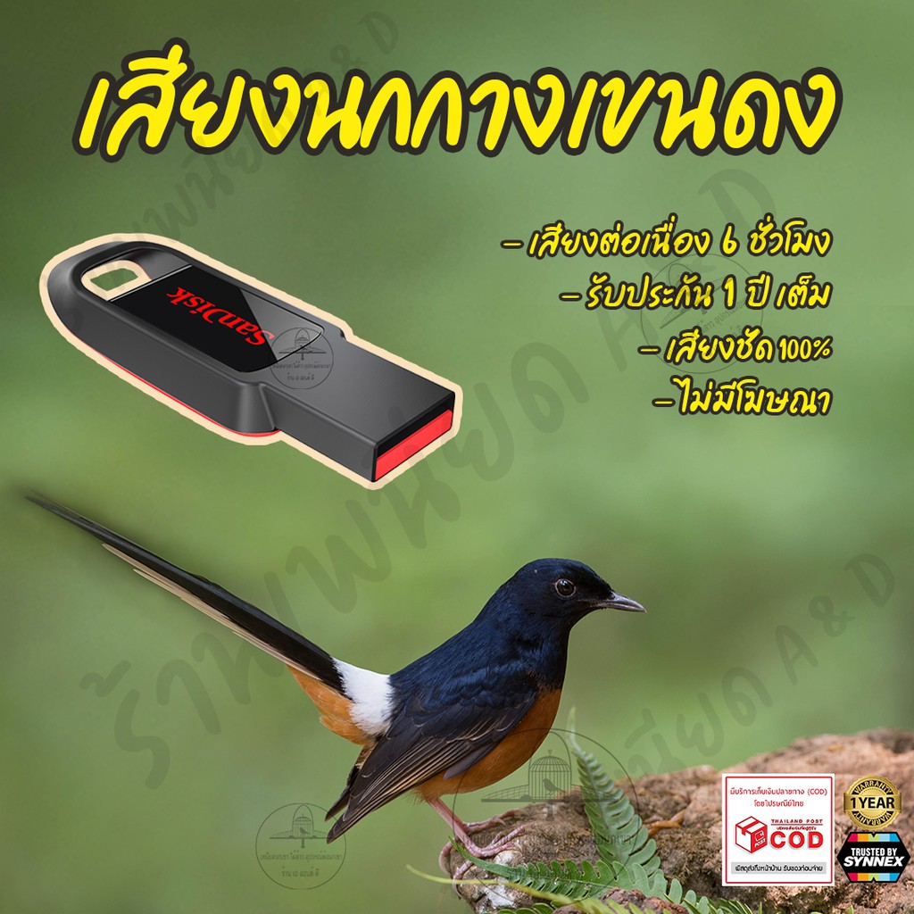 เสียงต่อ-นกกางเขนดง-ยาว6ชั่วโมง-ไม่มีโฆษณา-แฟลชไดร์ฟ-flash-drive-มีเก็บเงินปลายทาง