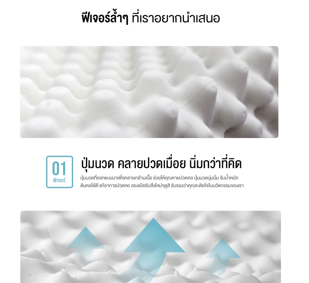 ข้อมูลเพิ่มเติมของ SiamLatex Double Slopes หมอนยางพาราแท้ ลดกรน ไม่ปวดคอ จัดระเบียบกระดูกสันหลัง