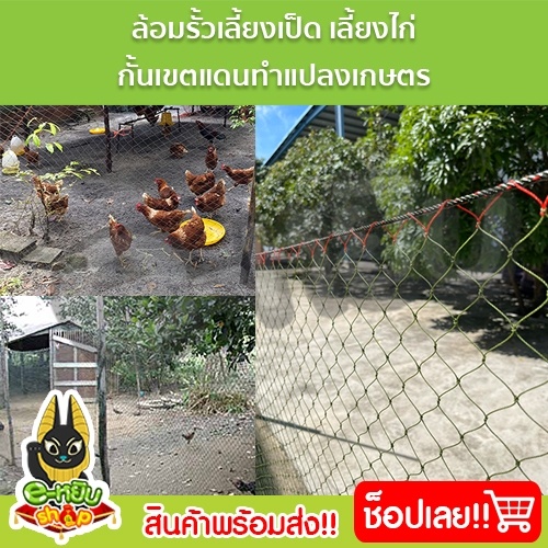 ตาข่ายล้อมไก่-ตาข่ายกันนก-อวนล้อมไก่-ตาข่ายอเนกประสงค์-กรงไก่-ดางล้อมไก่-เลี้ยงไก่-ขนาดตา2-5นิ้ว