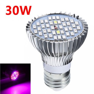 หลอดไฟปลูกพืช 30 W E 27 LED