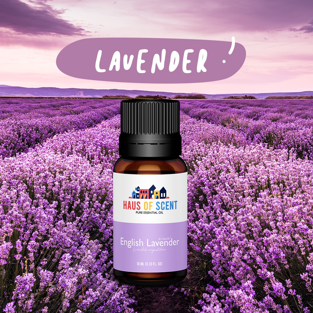 น้ำมันหอมระเหย-ลาเวนเดอร์-lavender-10-ml-pure-essential-oil-น้ำมันอโรม่า-น้ำมันหอมใส่เครื่องพ่นอโรม่า