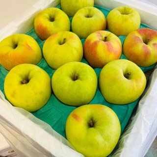 ✨แอปเปิ้ลญี่ปุ่น Orin🍏🎌 ส่งรถเย็น❄️ แอปเปิ้ลสีทองขึ้นชื่อเรื่องความหวานน กรอบบ รสชาติอร่อย คัดเกรดpremium!