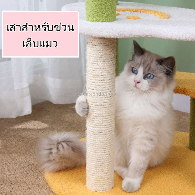 ภาพสินค้า️คอนโดแมว เสาลับเล็บแมว ที่ลับเล็บแมว ของเล่นแมว บ้านแมว สูง135cm ️ จากร้าน ratimapeem บน Shopee ภาพที่ 2