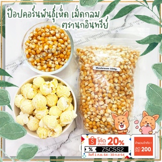 [ของแท้ พร้อมส่ง] เมล็ดข้าวโพดป๊อบคอร์น พันธุ์มัชรูม (พันธุ์เห็ด) ตรานกอินทรีย์ American eagle mushroom popcorn 500g.