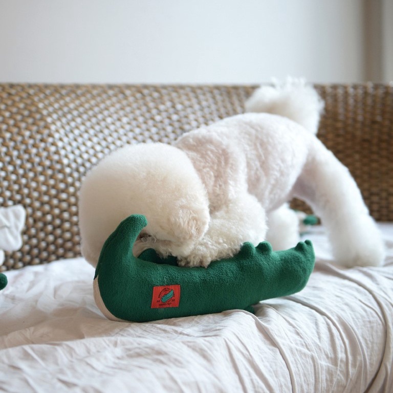 andblank-lazy-croc-nose-work-toy-ของเล่นสุนัขที่มากกว่าของเล่น-เสริมทักษะให้น้องๆ-ได้ใช้พลังในการหาขนมที่ซ่อนไว้