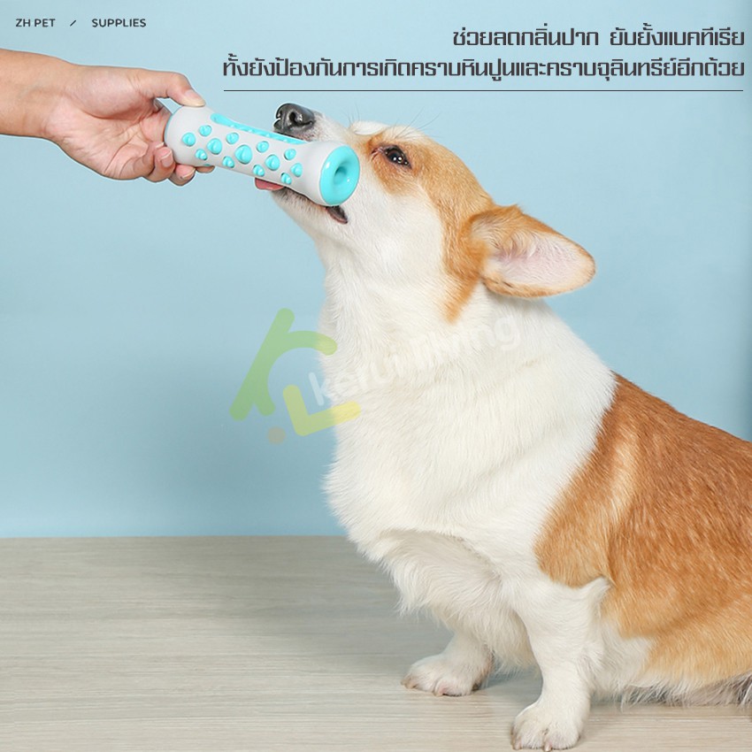 cobbe-กระดูกของเล่น-แปรงฟันสุนัข-กระดูกขัดฟันกราม-ยางกัดแปรงฟันสุนัข-ทำความสะอาดฟันกราม-ลดกลิ่นปาก