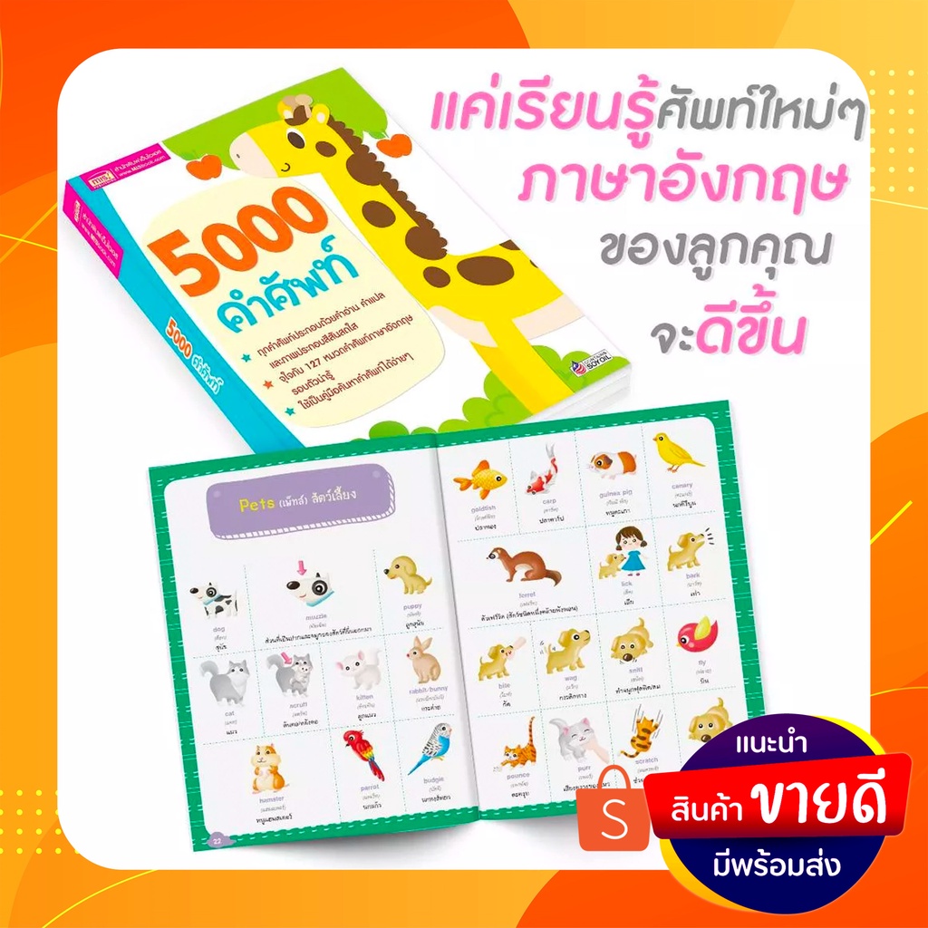 หนังสือ 5000 คำศัพท์ พร้อมกับภาพประกอบ 4 สี สดใส ( ไม่แถมปากกา) | Shopee  Thailand