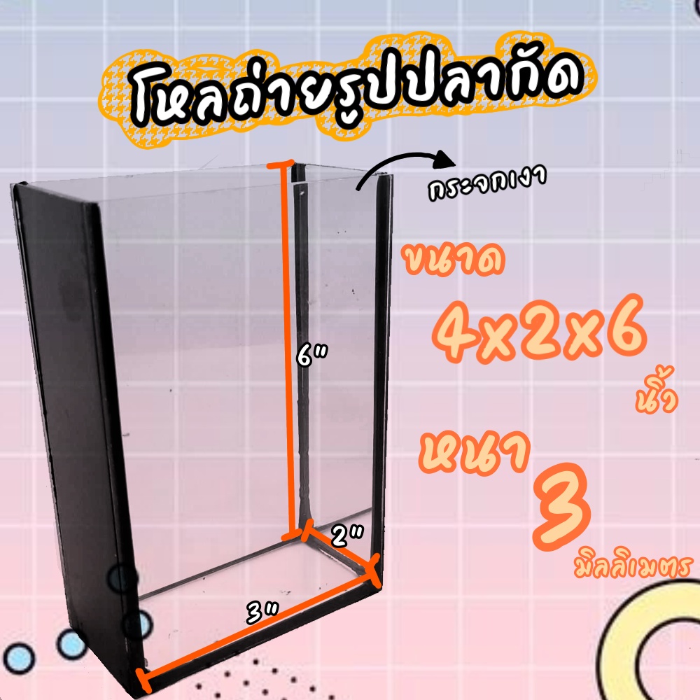 ตู้ถ่ายรูปปลา-3x2x6-มีกระจกด้านข้าง-ทั่ง2ข้าง