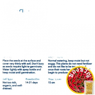 [Funiture SG] ดอกคาโมไมล์เยอรมัน [100เมล็ดสมุนไพร]-ผู้ขาย SG ท้องถิ่น! จัดส่งที่รวดเร็ว! เมล็ดพืช seeds OFKO