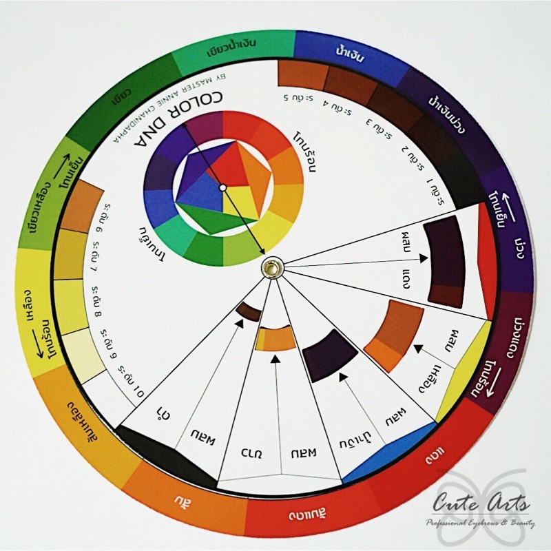 วงล้อสี-color-wheel-สื่อผสมสี-ฉบับภาษาไทย-ใช้ง่าย-สำหรับแนะแนวการผสมสี-สำหรับ-งานศิลปะ-และ-งานช่าง-คุณภาพสูง