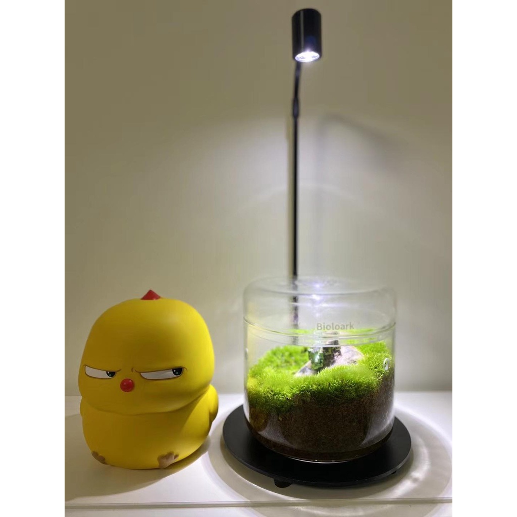 bioloark-my-series-drip-jar-แบรนด์ดังผู้ชำนาญด้านโหล-terrarium-จัดสวนในขวดแก้ว-ขวดโดมแก้ว-สวนขวด-สวนจิ๋ว-เทอทาเรียม-ตู้