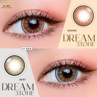 คอนแทคเลนส์ WinkLens Dream 3tone(Gray,Brown) ค่าสายตา 0.00 ถึง -5.00