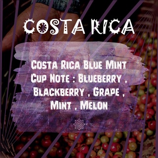 ภาพหน้าปกสินค้าเมล็ดกาแฟ Costa Rica Blue Mint บลูเบอรี่มาเต็มๆ หอมจัด ซึ่งคุณอาจชอบสินค้านี้