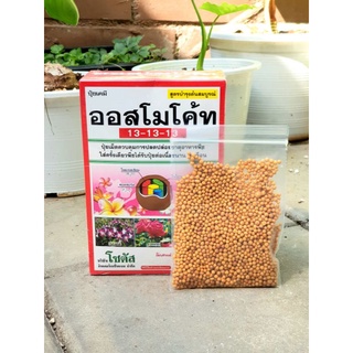 ปุ๋ยต้นไม้ ออสโมโค้ท - แบ่งขาย (100 g)