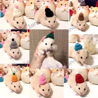 สินค้า juno.land 🐹 หมวกไหมพรมหลากสีแฮมสเตอร์ 🧶(ยอดสั่งซื้อขั้นต่ำ100บาทขึ้นไป)