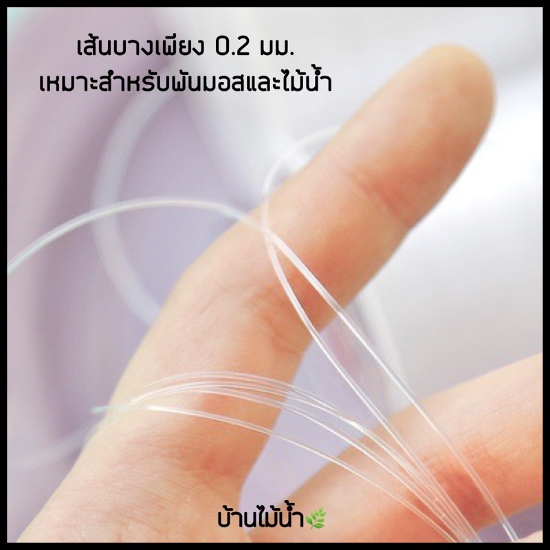 เอ็นใสพันมอส-เอ็นพันมอส-เอ็นพันหิน-หรือขอนไม้-ขนาด-0-2-mm-ความยาวรวม-180-m-บ้านไม้น้ำ