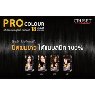 สีปิดผมขาว ครูเซ็ท ครีมย้อมผม โปร คัลเลอร์ 100 มล. Cruset PRO Colour Hair Colour Cream 100 ml.