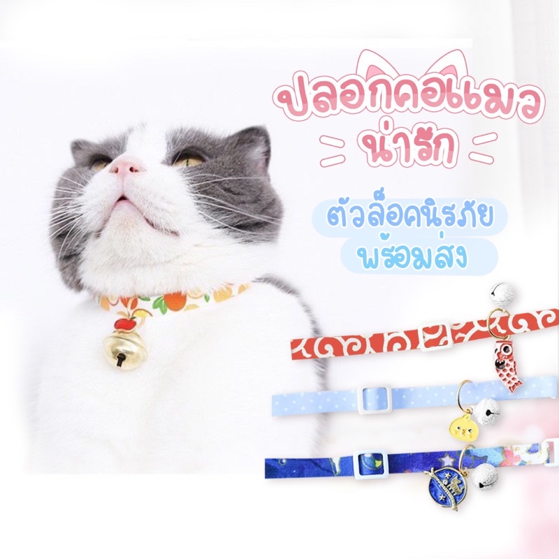 ภาพสินค้าพร้อมส่ง ️ปลอกคอนิรภัย ปลอกคอน้องแมวน่ารัก ปลอกคอแมวน่ารัก ปลอกคอแมว ปลอกคอนิรภัย ปลอกคอแมวคุณหนู จากร้าน chinjung4869 บน Shopee ภาพที่ 1