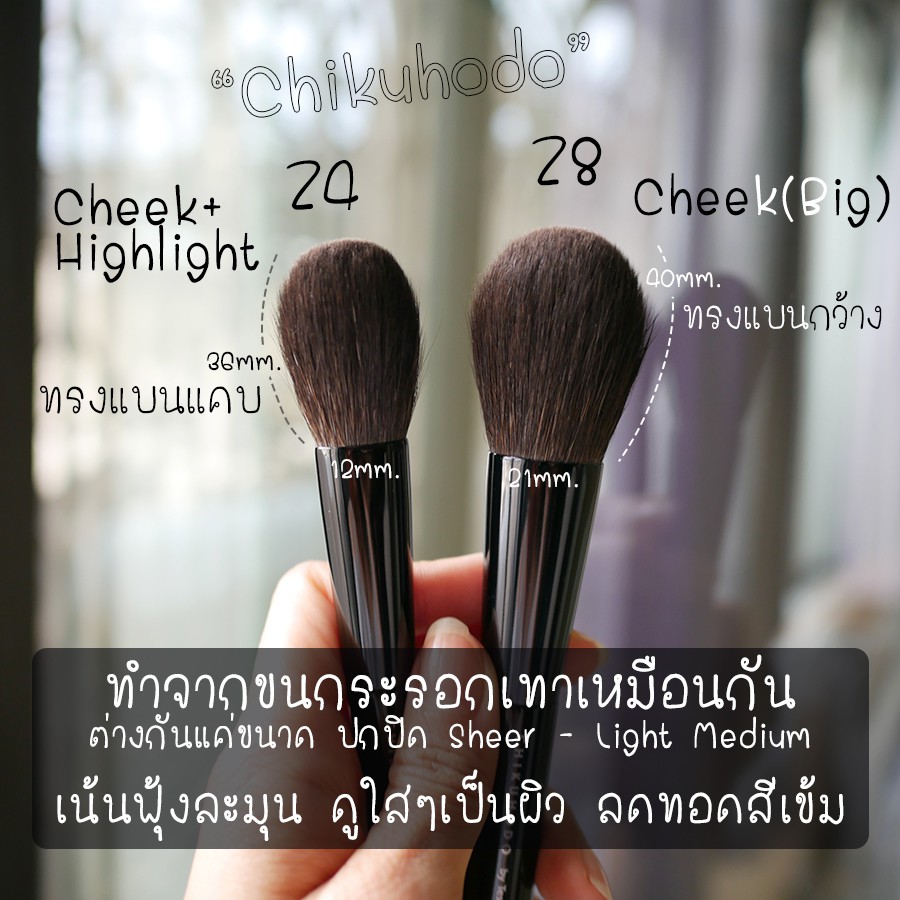 chikuhodo-z8-cheek-brush