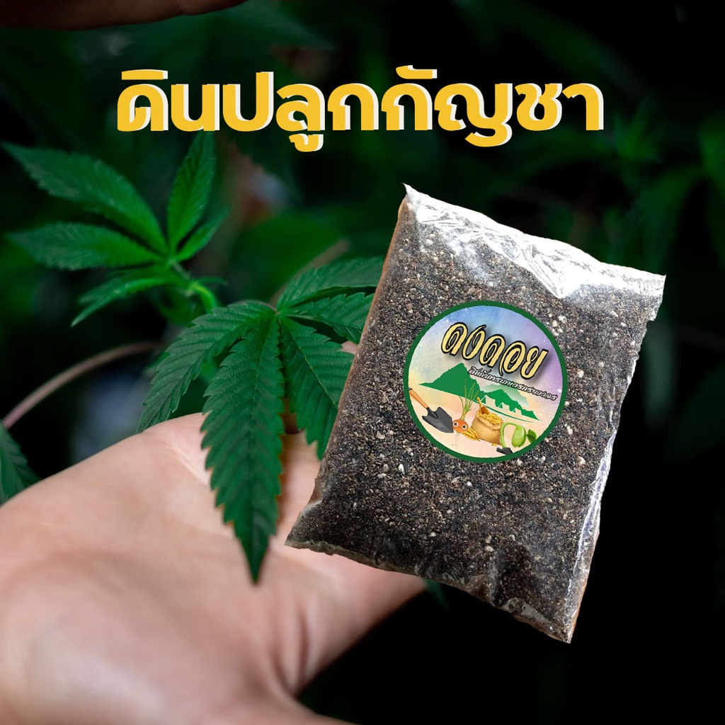 ดินปลูกกัญชา-ออแกนิค-ดินปลูกสายเขียว-บรรจุ-1-กก-ใช้ได้ทุกช่วงการเจริญเติบโต