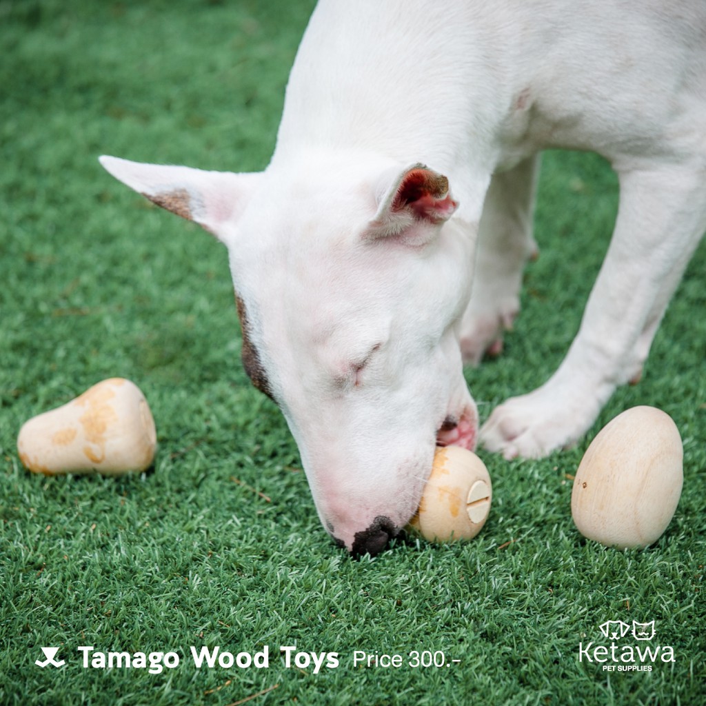 ภาพสินค้าของเล่นสุนัขเสริมทักษะ จากไม้มะม่วง Tamagohan เเบรนด์ Replus จากญี่ปุ่น จากร้าน ketawapet บน Shopee ภาพที่ 6