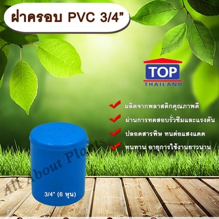 ฝาครอบ PVC ตรา TOP 3/4”(6หุน) ฝาครอบท่อPVC ขนาด 3/4นิ้ว หรือ 6หุน ตัวอุดท่อ ฝาปิดท่อพีวีซี allaboutplants