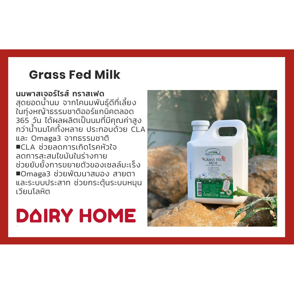 นมแดรี่โฮม-organic-grass-fed-milk-1-200-cc-จัดส่งสินค้าเฉพาะในเขตกรุงเทพฯและปริมณฑลเท่านั้น