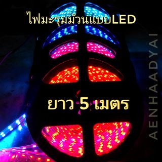 ไฟมะรุมม้วนLED ยาว5เมตร สำหรับ12โวลท์ #1135 ต่อใช้งานได้ทันที