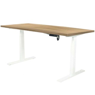 โต๊ะทำงาน โต๊ะทำงานปรับระดับ ERGOTREND SIT 2 STAND GEN2 150 ซม. สี VINTAGE OAK/ขาว เฟอร์นิเจอร์ห้องทำงาน เฟอร์นิเจอร์ ขอ