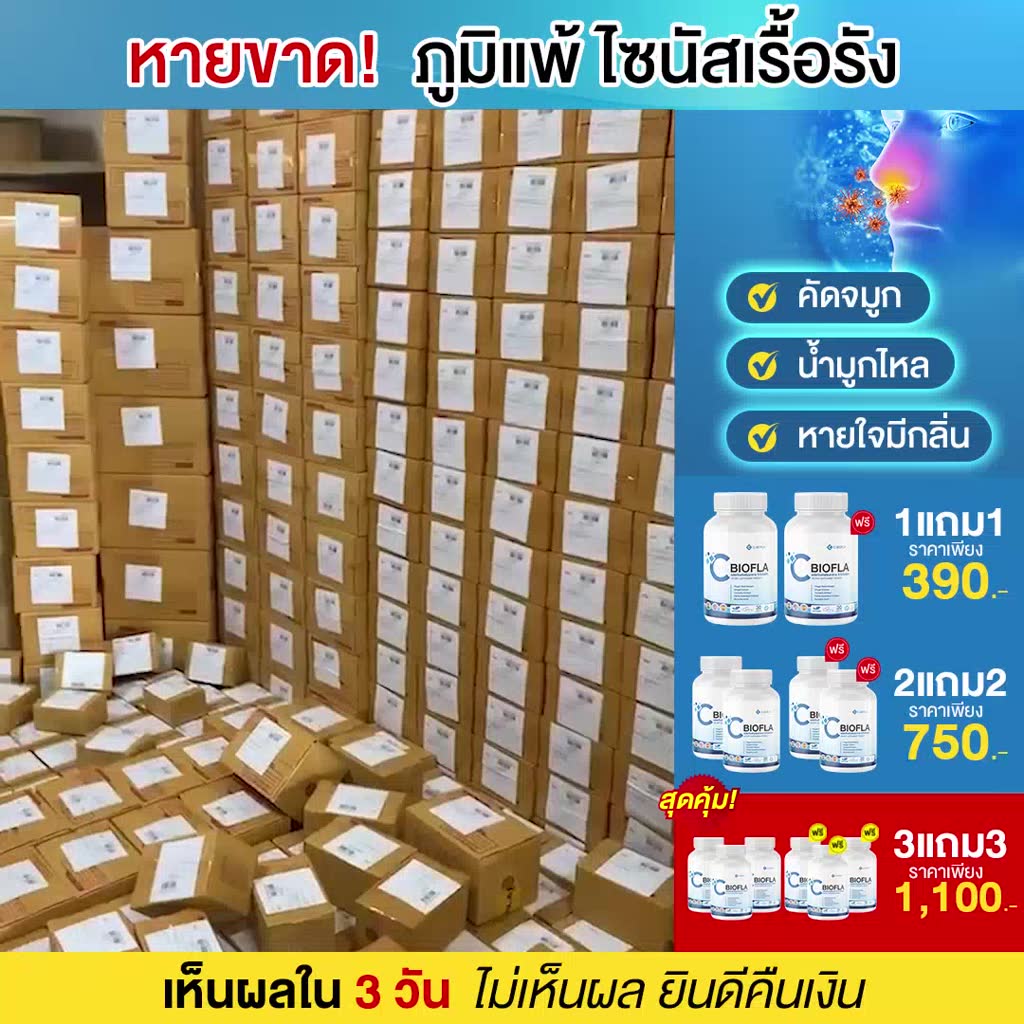 โปรแก้ภูมิแพ้-3-free-3-cbiofla-ของแท้-100-ภูมิแพ้-ไซนัส-ริดสีดวงจมูก-ไอ-จาม-หวัด-หอบหืดเรื้อรัง-จมูกตัน-ช่วยหลับดี