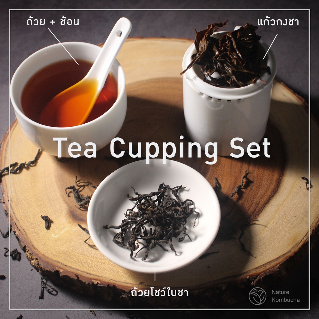 Tea cupping set ชุดชิมชา คัปปิ้งชา เทสชา | Shopee Thailand