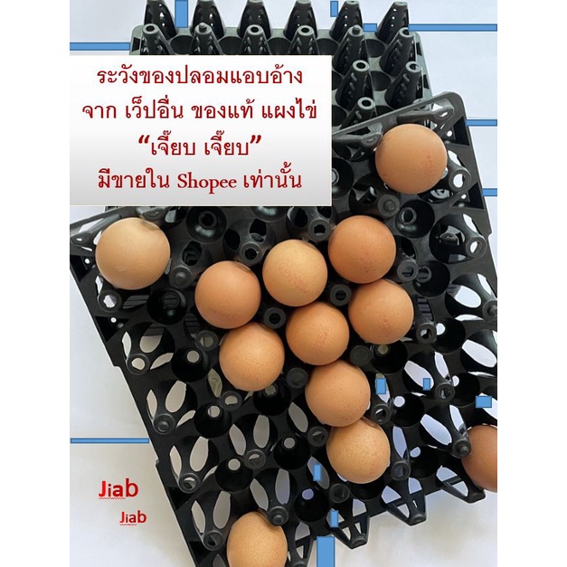 ภาพหน้าปกสินค้าแผงไข่แผงไข่พลาสติก ถาดไข่พลาสติกสีดำแผงเล็ก ถาดแผงไข่ รางแผงไข่ รางถาดใข่พลาสติก 30 ฟอง แผงใข่ "เจี๊ยบ เจี๊ยบ" จากร้าน goodgoodsever บน Shopee