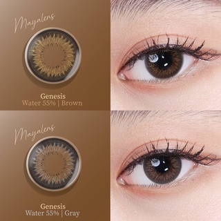 คอนแทคเลนส์ค่าอมน้ำ 55% เลนส์นิ่ม ใส่สบาย Mayalens Genesis Gray-Brown มีของพร้อมส่ง